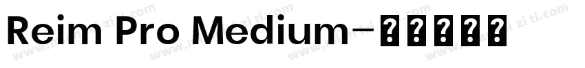 Reim Pro Medium字体转换